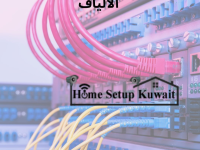 فني إنترنت محترف