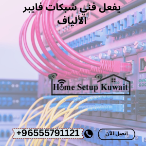 فني إنترنت محترف